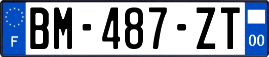 BM-487-ZT