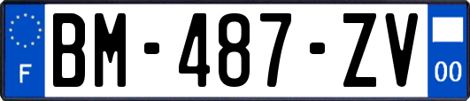 BM-487-ZV