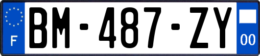 BM-487-ZY