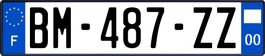 BM-487-ZZ