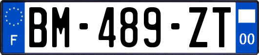 BM-489-ZT