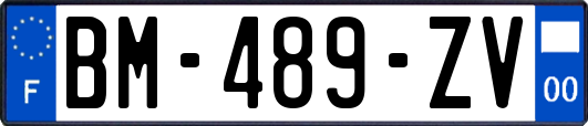 BM-489-ZV