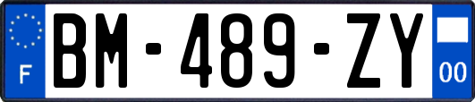 BM-489-ZY