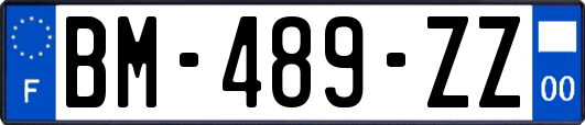 BM-489-ZZ