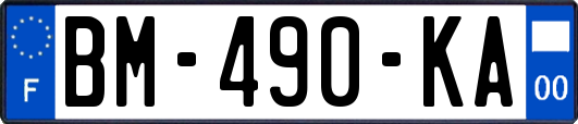 BM-490-KA