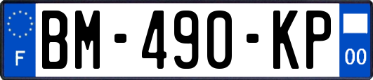 BM-490-KP