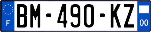 BM-490-KZ