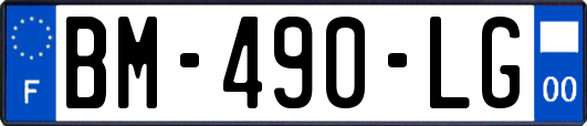 BM-490-LG