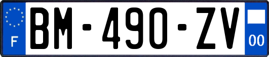 BM-490-ZV