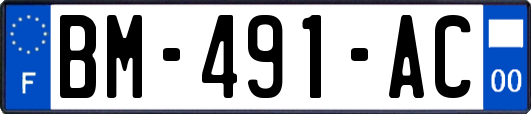 BM-491-AC