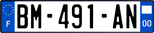 BM-491-AN