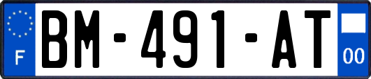 BM-491-AT