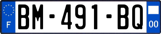 BM-491-BQ