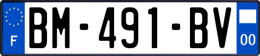 BM-491-BV