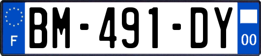 BM-491-DY