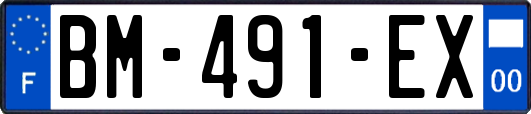 BM-491-EX