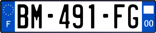 BM-491-FG