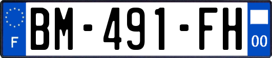 BM-491-FH