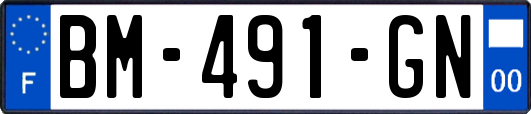 BM-491-GN