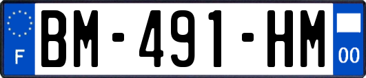 BM-491-HM