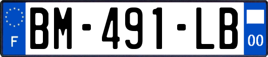 BM-491-LB