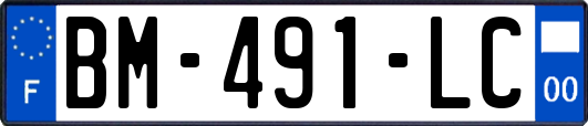 BM-491-LC
