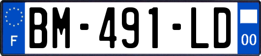 BM-491-LD