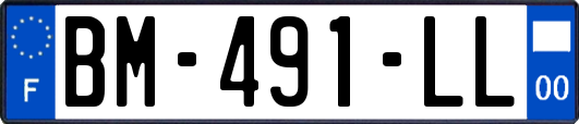 BM-491-LL