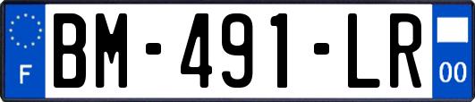 BM-491-LR