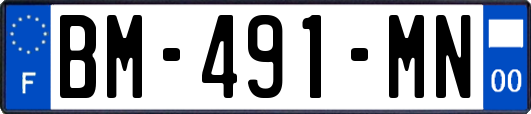 BM-491-MN