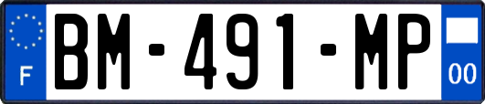 BM-491-MP