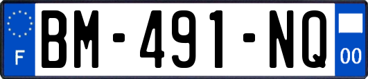 BM-491-NQ