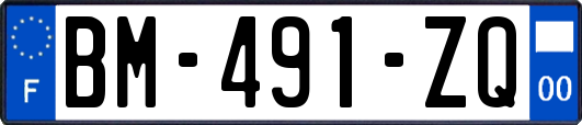 BM-491-ZQ