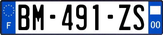 BM-491-ZS