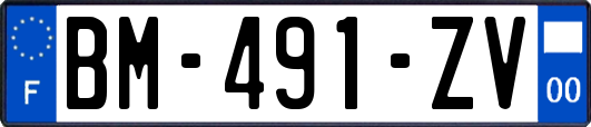 BM-491-ZV