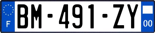 BM-491-ZY