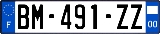 BM-491-ZZ