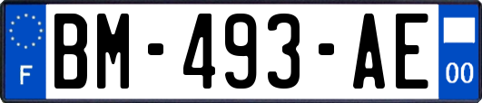 BM-493-AE