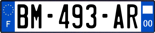 BM-493-AR