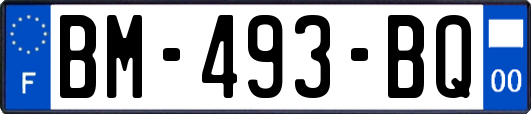 BM-493-BQ