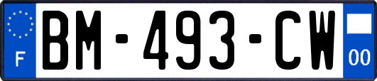 BM-493-CW