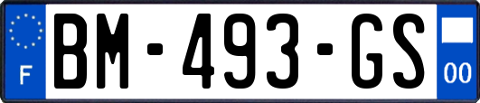 BM-493-GS