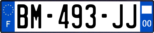 BM-493-JJ