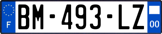 BM-493-LZ