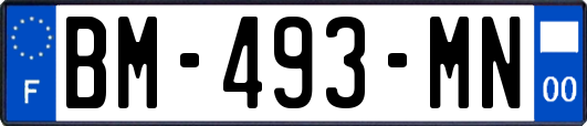 BM-493-MN