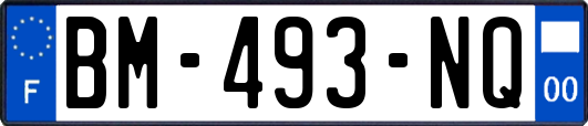 BM-493-NQ