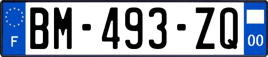 BM-493-ZQ