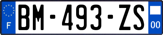 BM-493-ZS