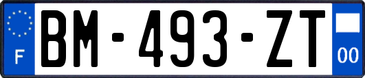 BM-493-ZT