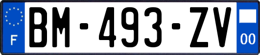 BM-493-ZV